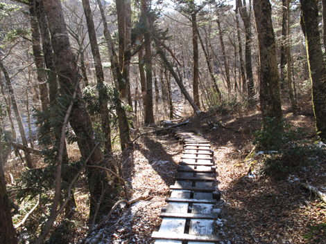 20181214hike (265)